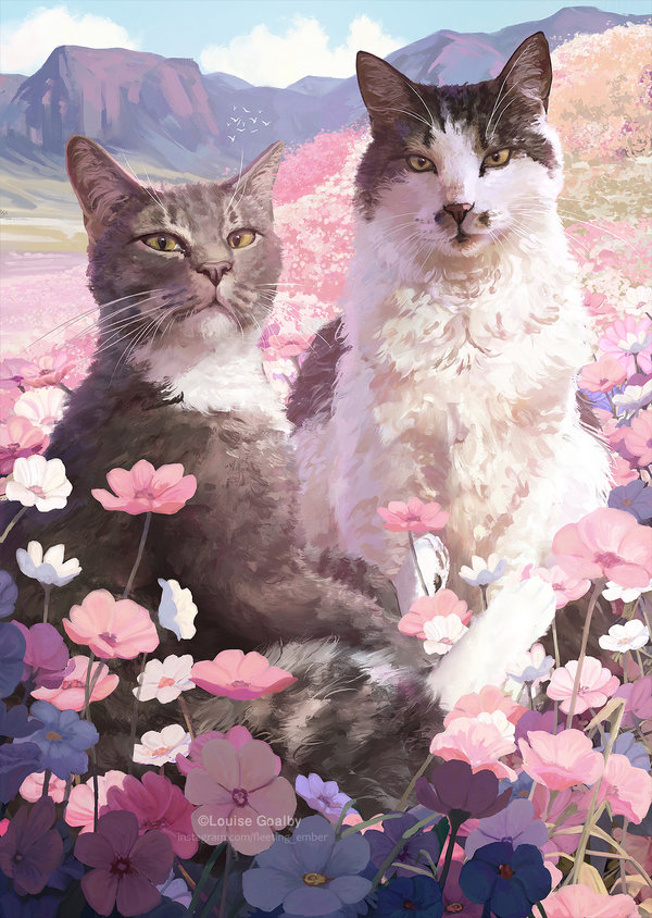 Two cats pose amongst a vast field of pink, purple and white flowers. Pet Portrait - Client work